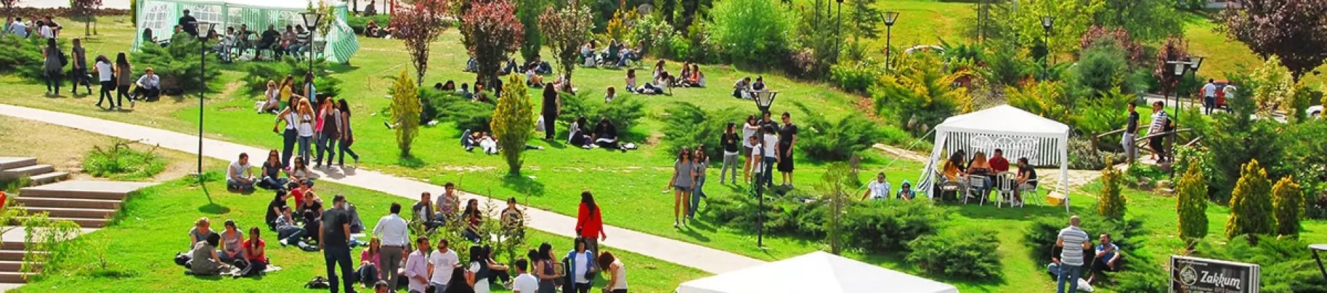 Hacettepe University in Turkey