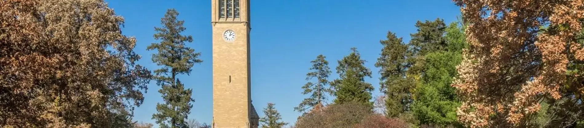 Iowa State University in United States of America