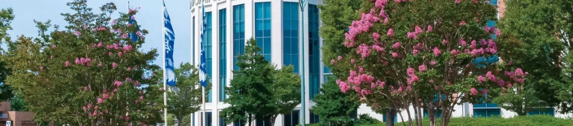 Old Dominion University in United States of America