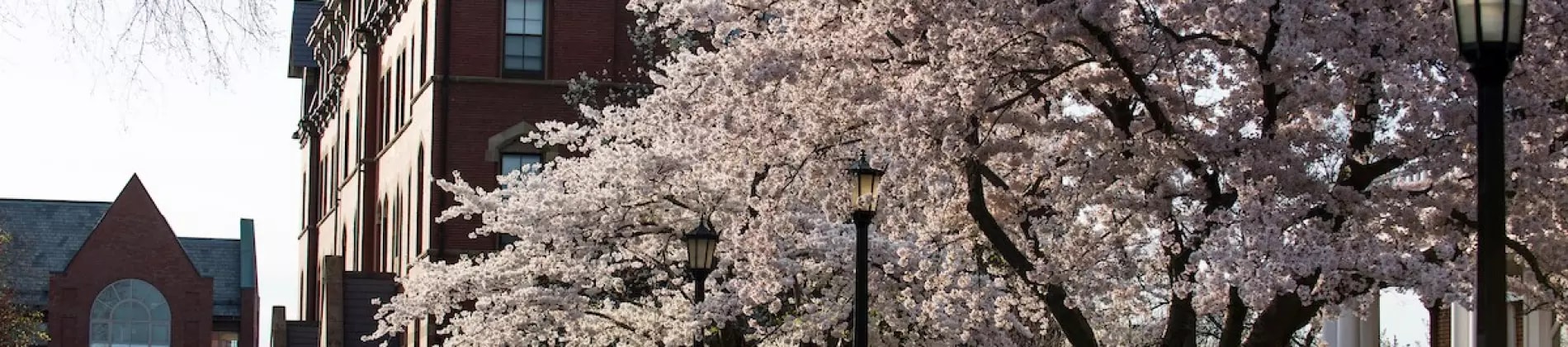 Tufts University in United States of America