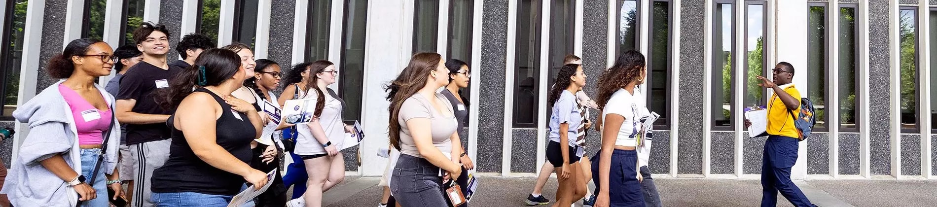 جامعة ألباني في الولايات المتحدة