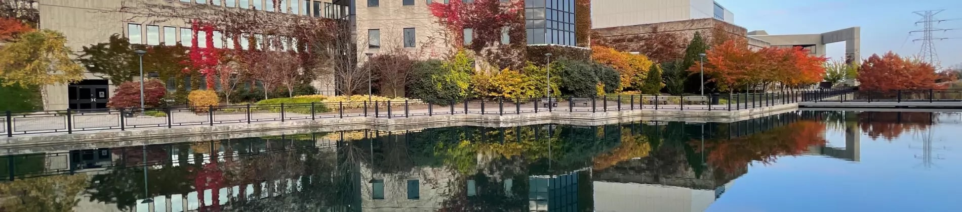 University of Kentucky in United States of America