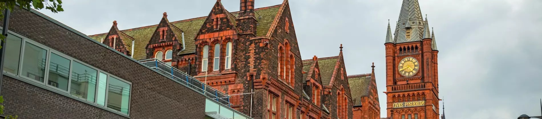 جامعة ليفربول - University of Liverpool