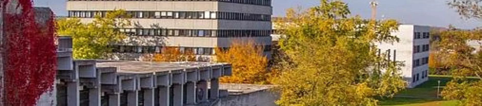 جامعة ريغنسبورغ في ألمانيا