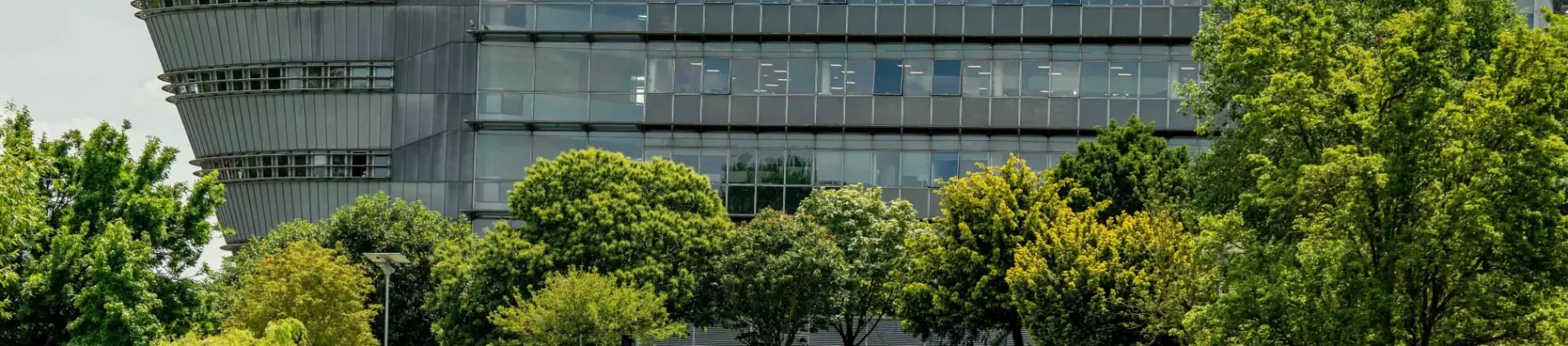 University of Surrey in United Kingdom