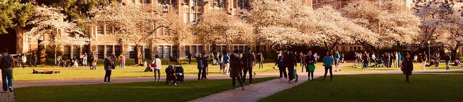 University of Washington in USA