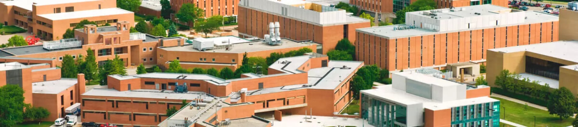 Wright State University in United States of America