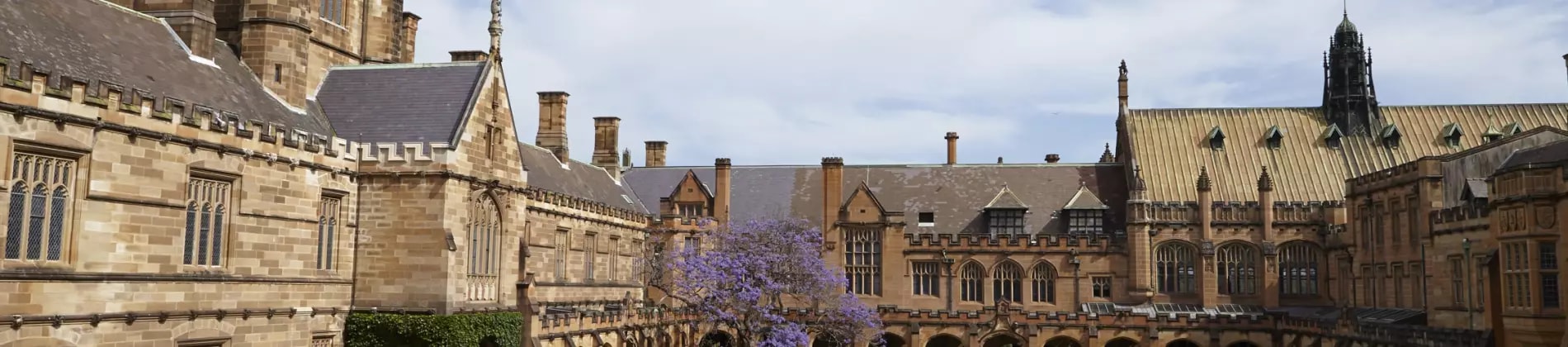 Top Majors at the University of Sydney for Saudi Students