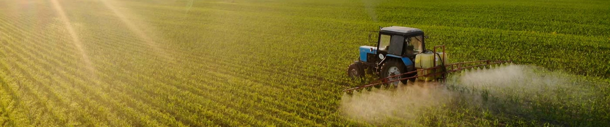 Your guide to know everything you need about studying Agriculture Your guide to know everything you need about studying Agriculture