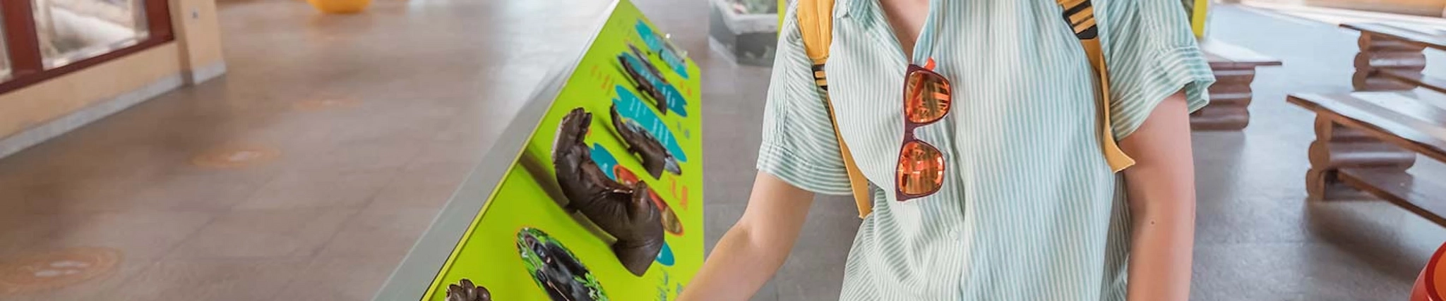 Your guide to know everything you need about studying Anthropology Your guide to know everything you need about studying Anthropology