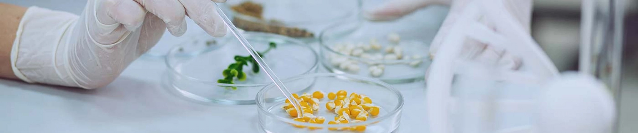 Your guide to know everything you need about studying Food Science Your guide to know everything you need about studying Food Science