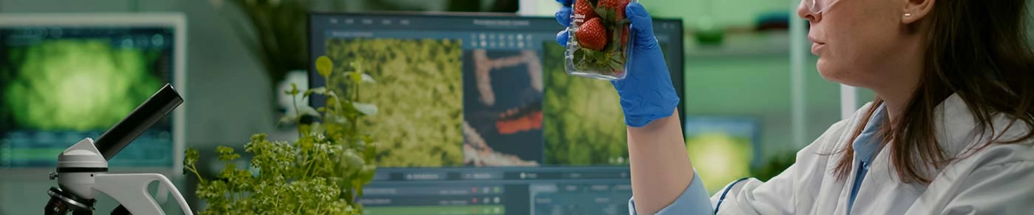 Your guide to know everything you need about studying Food Technology Your guide to know everything you need about studying Food Technology