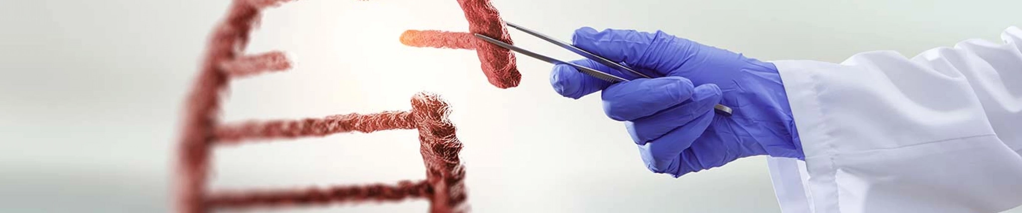 Your guide to know everything you need about studying Genetics Your guide to know everything you need about studying Genetics