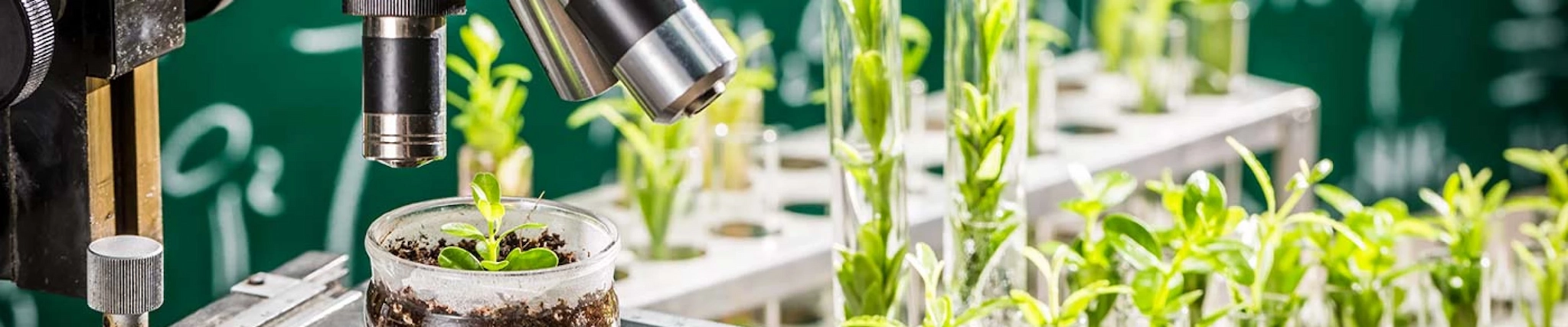 Your guide to know everything you need about studying Horticulture and Crop Science Your guide to know everything you need about studying Horticulture and Crop Science