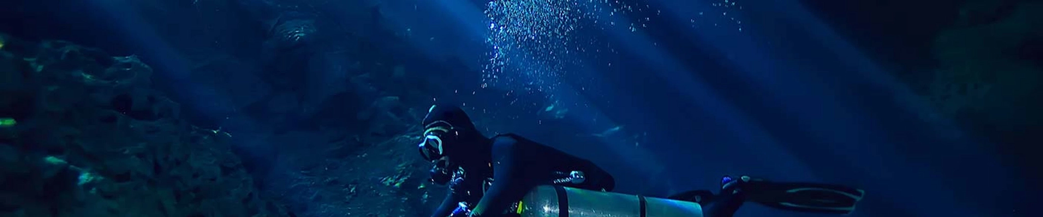 Your guide to know everything you need about studying Marine Science Your guide to know everything you need about studying Marine Science