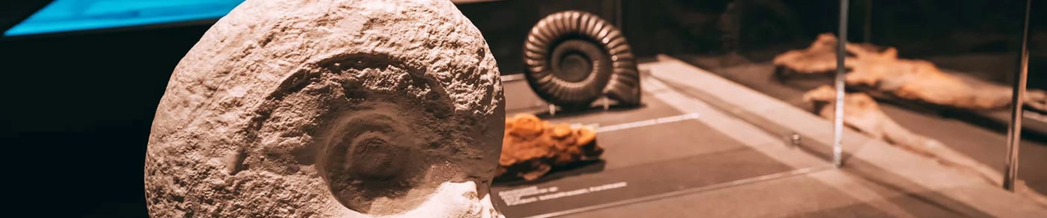 Your guide to know everything you need about studying Museum Studies Your guide to know everything you need about studying Museum Studies