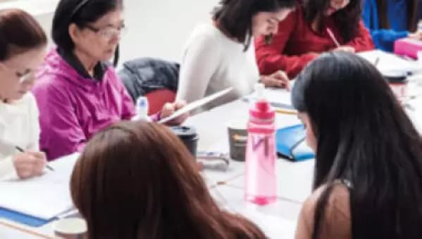 Language Studies International (LSI) Language Studies International (LSI)