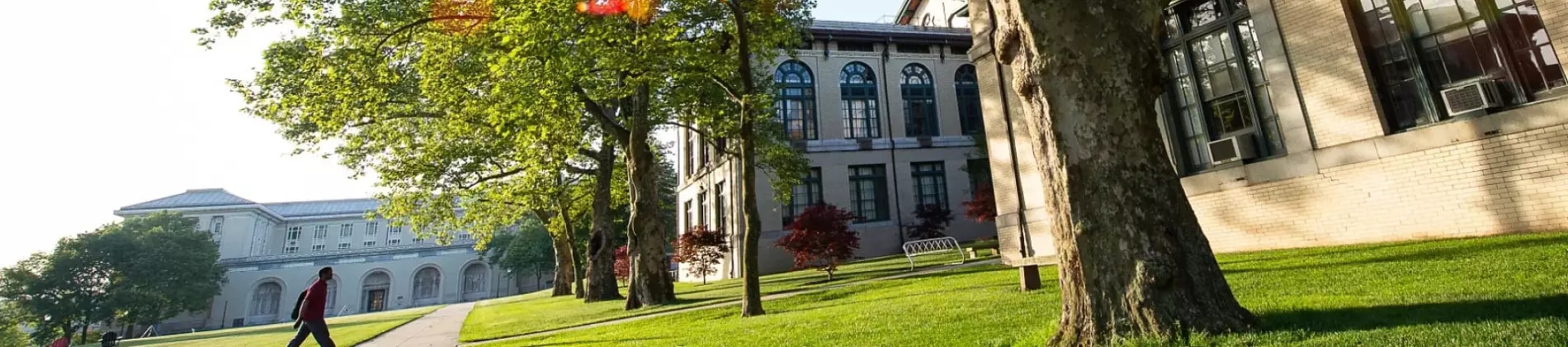 جامعة كارنيجي ميلون في الولايات المتحدة