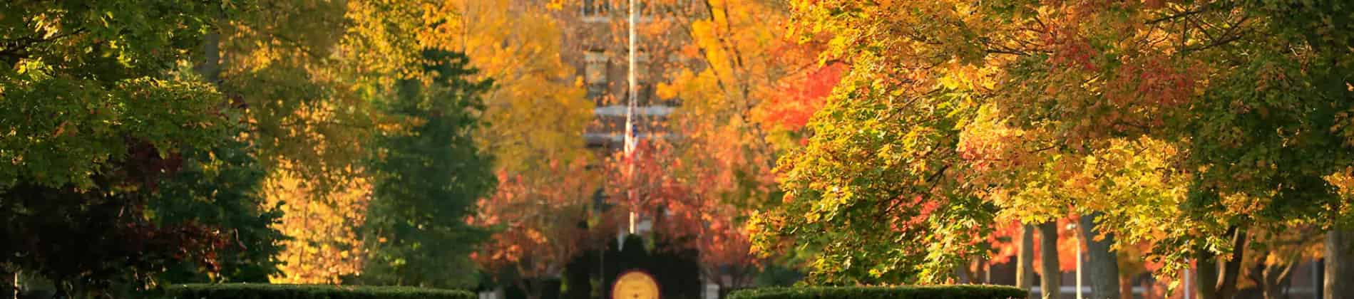 Information Technology