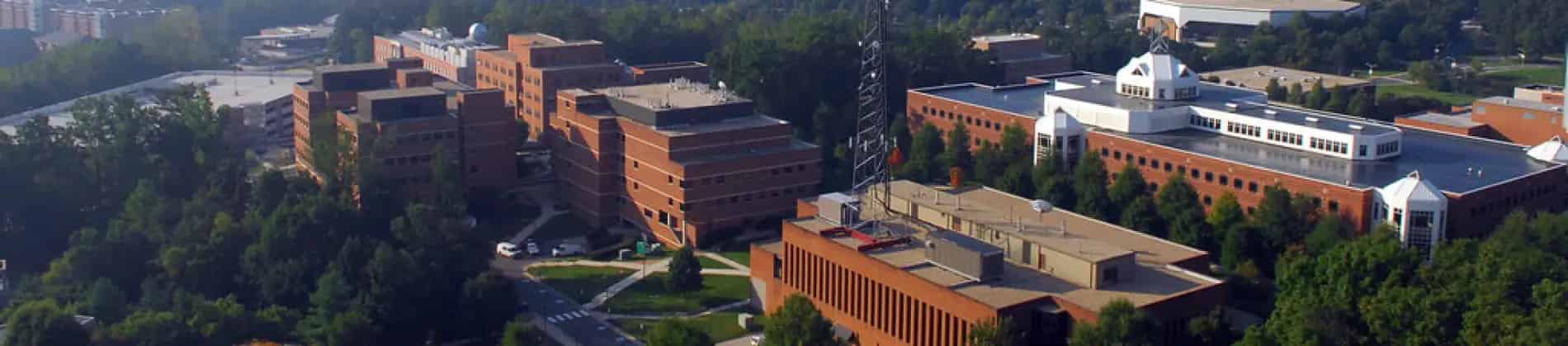 الدراسات الشرق الأوسط والإسلامي