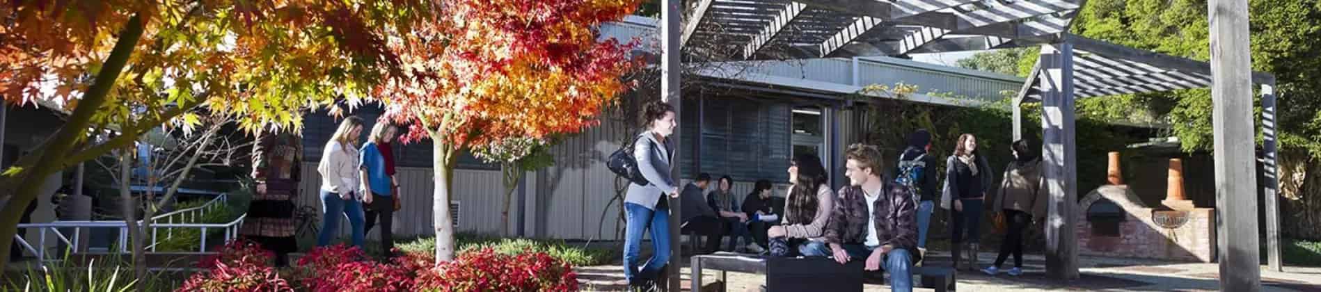 Bachelor of Education (Early Childhood Education)