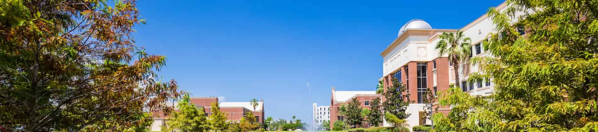 Mathematical Sciences - Applied Mathematics