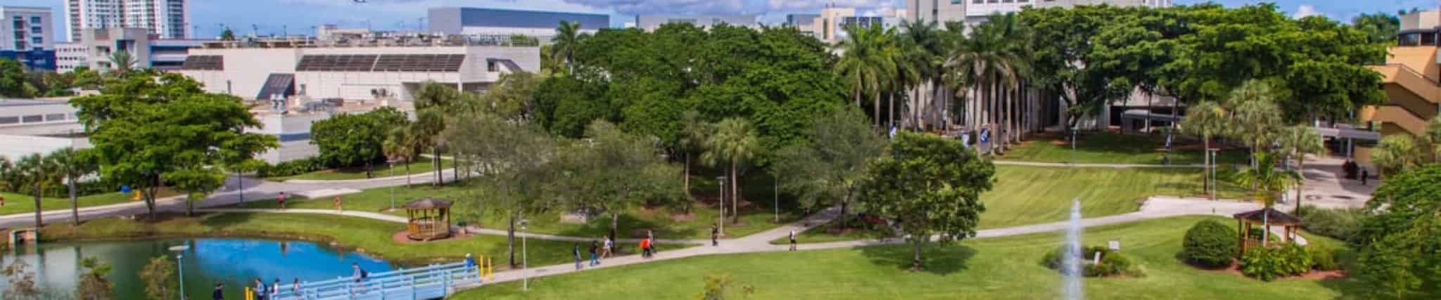 العدالة الجنائية