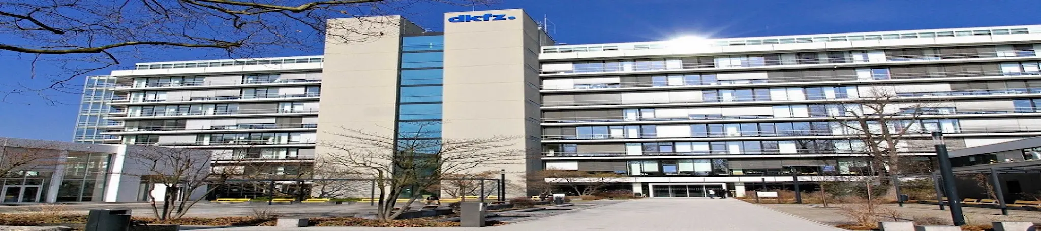 برنامج DKFZ الدولي الدكتوراه في أبحاث السرطان