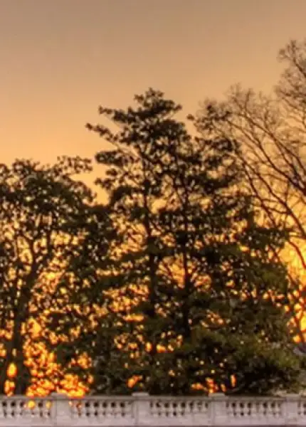 Aerospace Engineering