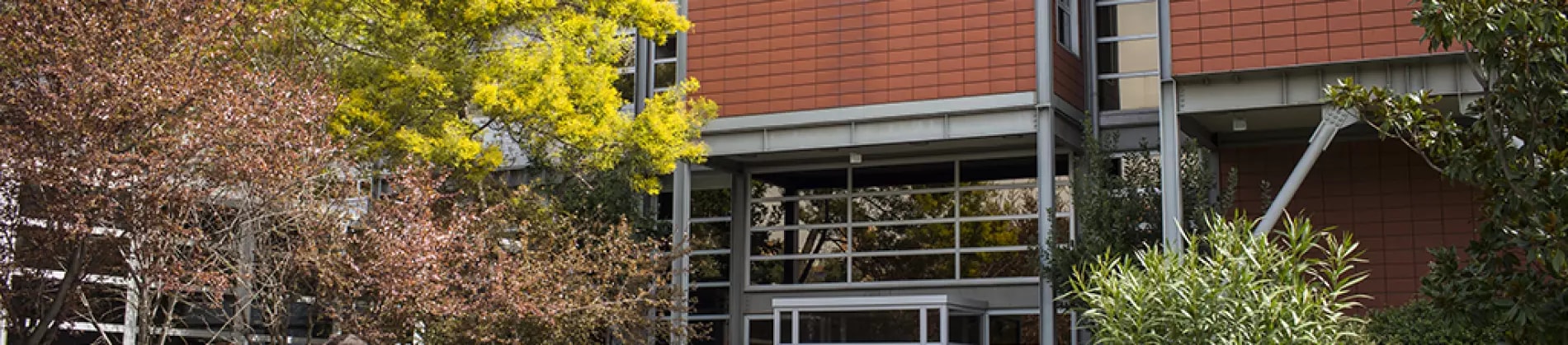 Istanbul Bilgi University in Turkey