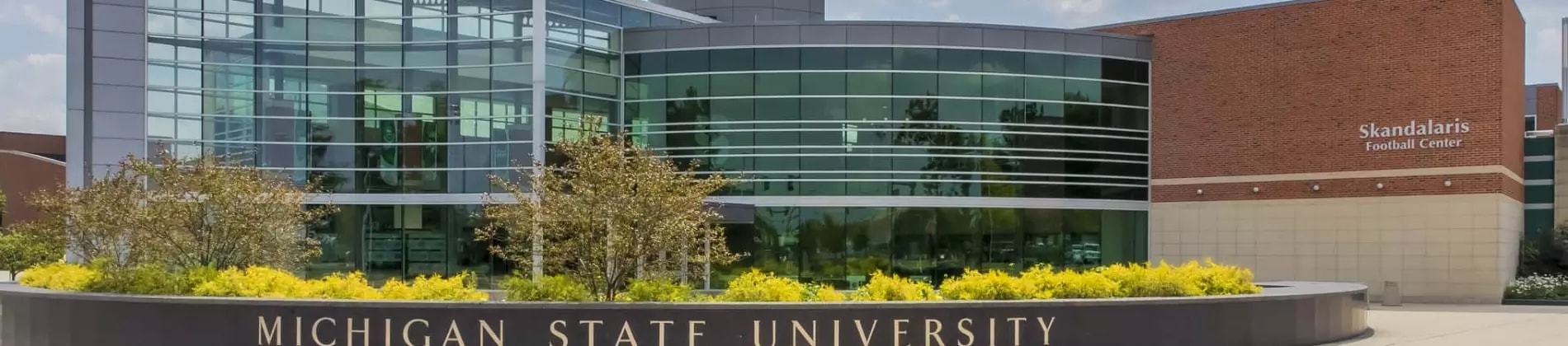 Michigan State University in USA