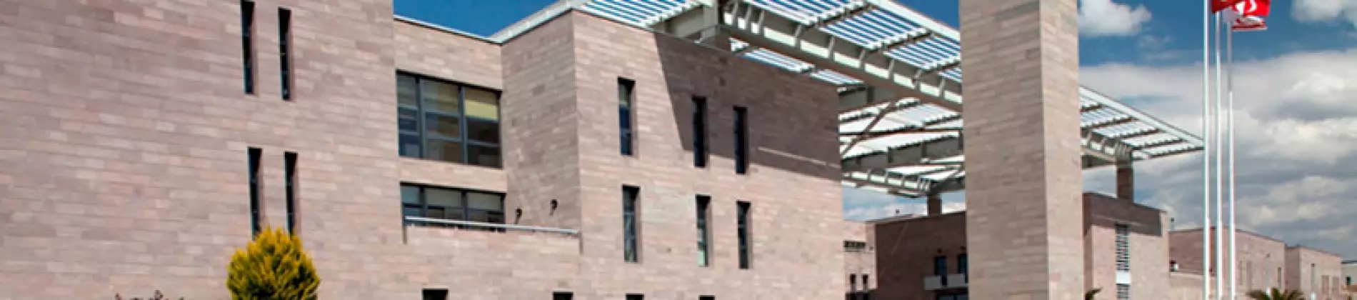 Middle East Technical University in Turkey