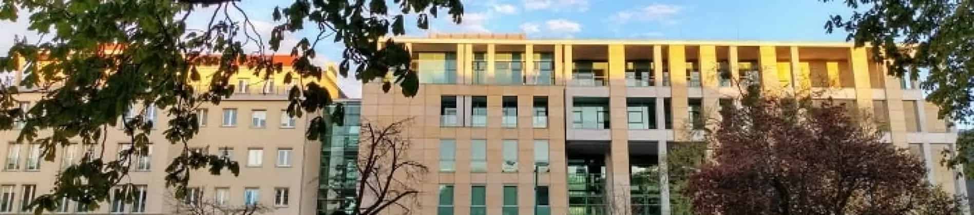 International Management in Emerging Markets