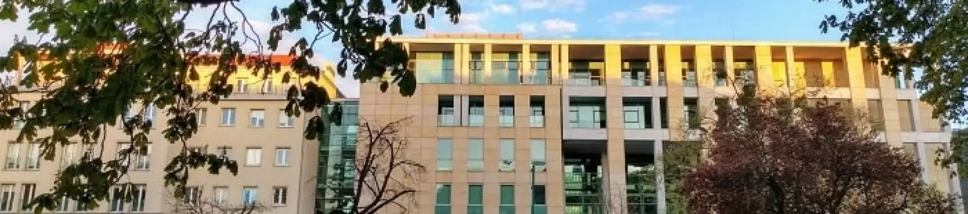 Executive Master of Business Administration