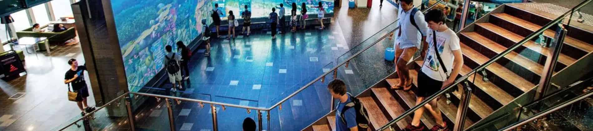 بكالوريوس الاتصالات (الإعلان الرقمي)/بكالوريوس القوانين (مرتبة الشرف)