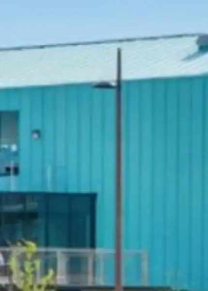 BSc (Hons) Wildlife and Conservation Management