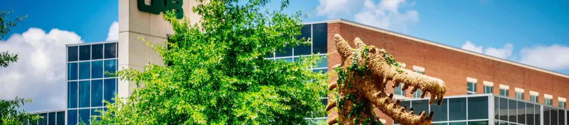 The University of Alabama at Birmingham in USA