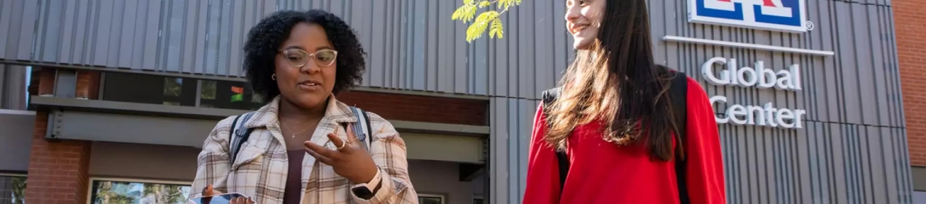 The University of Arizona Global in USA