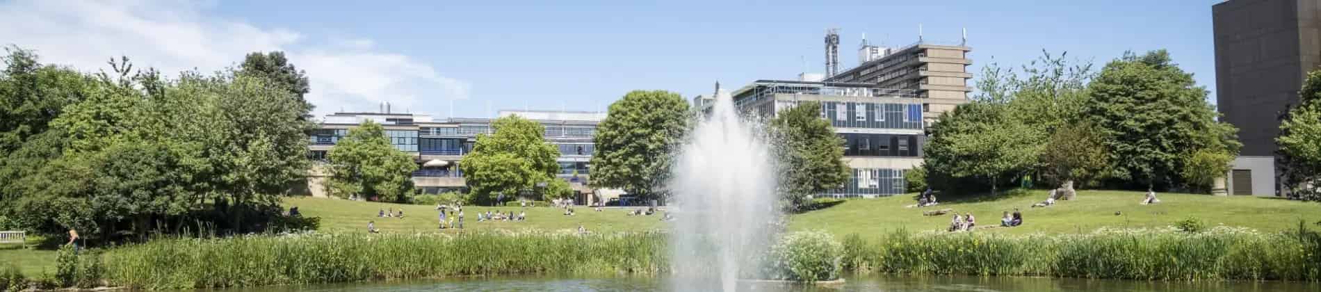 International Management and Modern Languages (French) BSc (Hons)