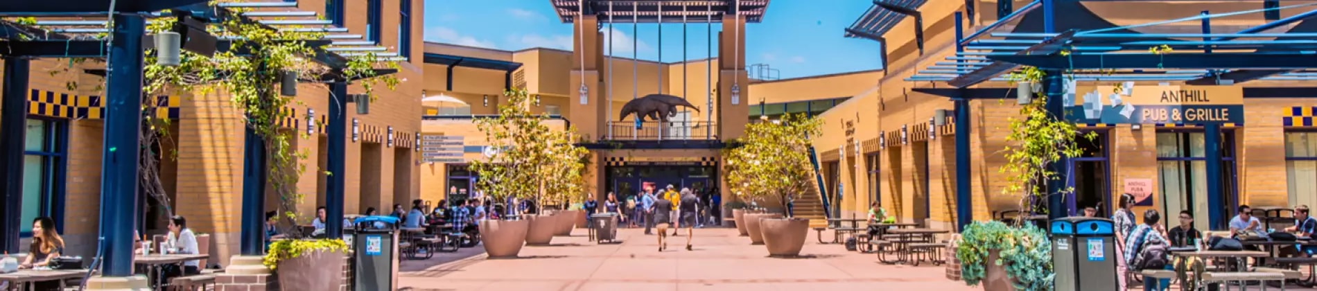 University of California, Irvine in USA