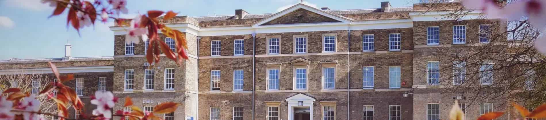 التاريخ والدراسات الأمريكية مع سنة في الخارج، بكالوريوس