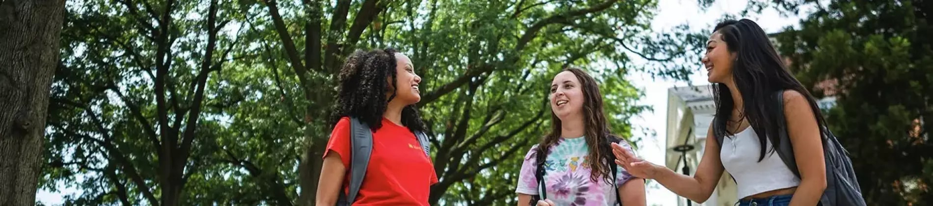 University of Maryland Baltimore County (UMBC) in USA