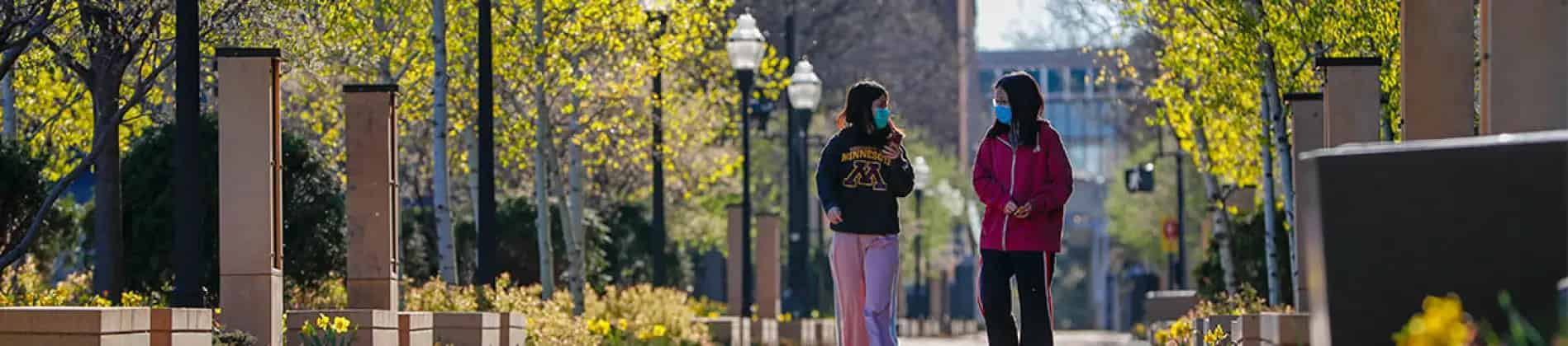 جامعة مينيسوتا توين سيتيز في الولايات المتحدة
