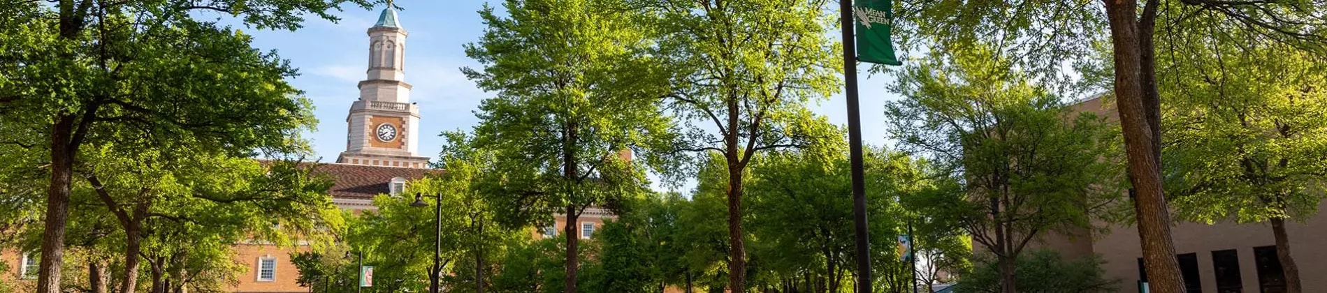 University of North Texas in USA