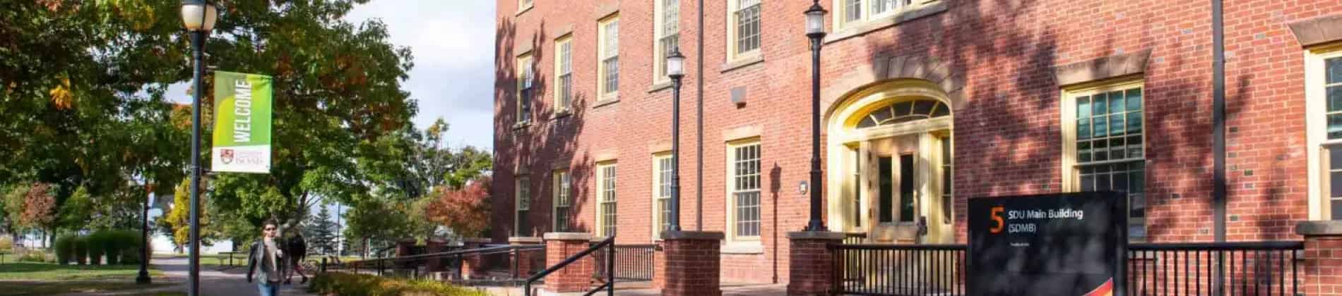 الدراسات الدولية