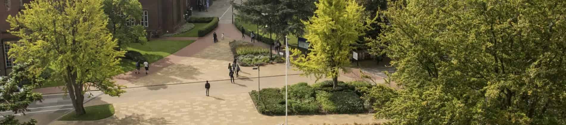 استخبارات الصحة العامة (ماجستير)