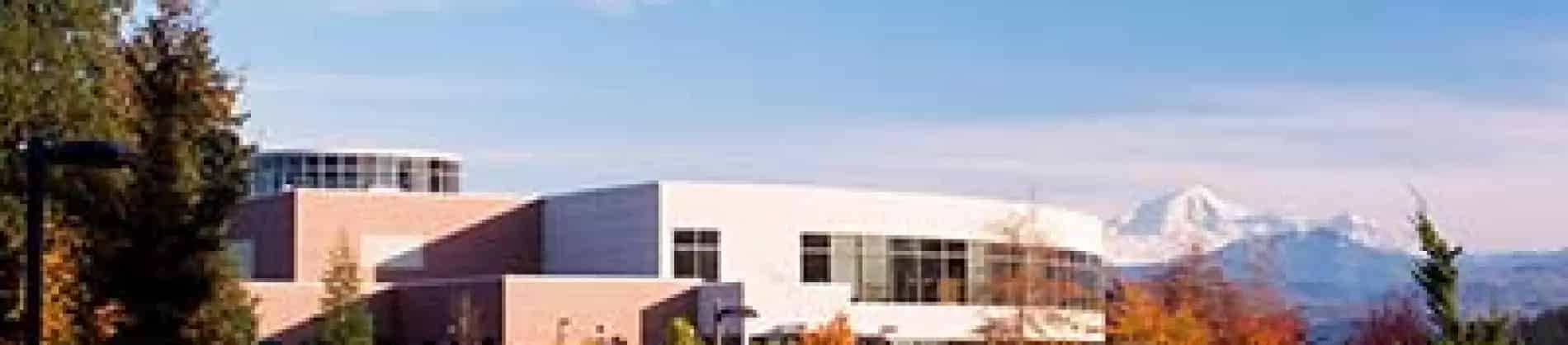 Business Administration bachelor's degree