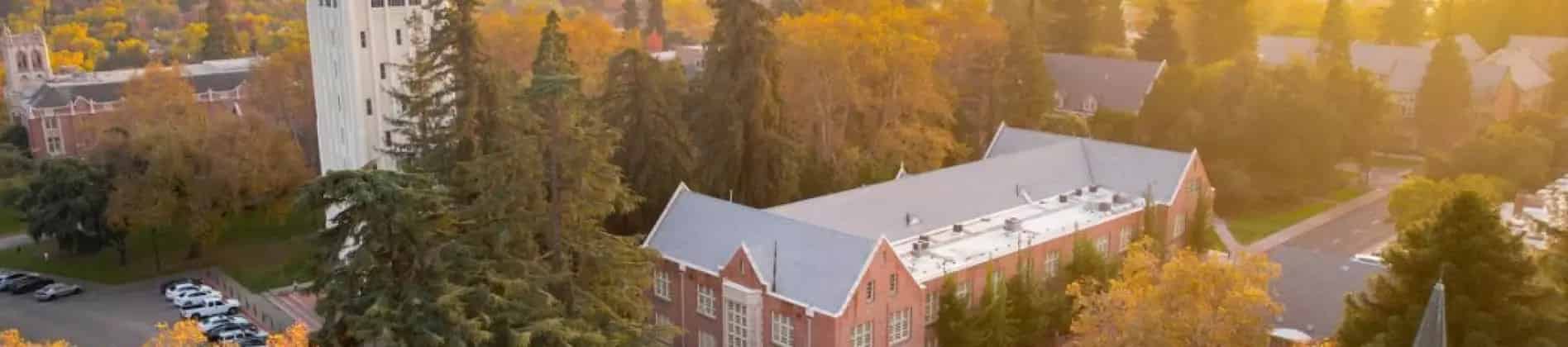 International Dental Studies - DDS