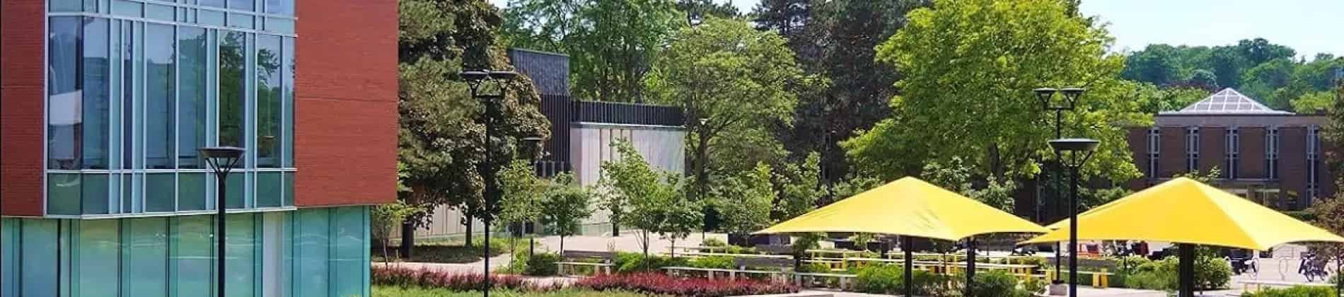 Mechatronics Engineering