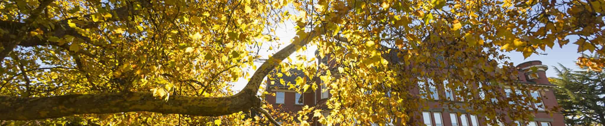 Willamette University in United States of America